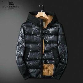 Picture of Burberry Down Jackets _SKUBurberryM-3XL25cn758659